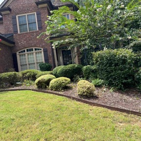 Bush Trimming by Allen Investments reviewed on November 10, 2025