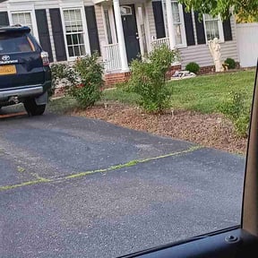Flower Bed Weeding by Royal Lawn and Landscape reviewed on July 7, 2026