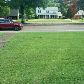 yard care by Greens power wash/home improvement reviewed on August 16, 2025