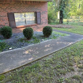Bush Trimming by Lindseys lawn care LLC reviewed on May 5, 2026