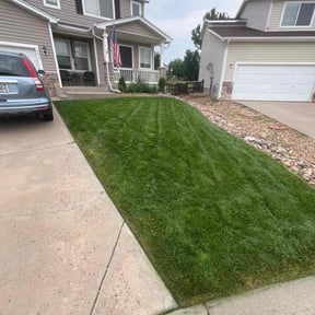 gardening service by Giron Tree Services LLC reviewed on August 18, 2025