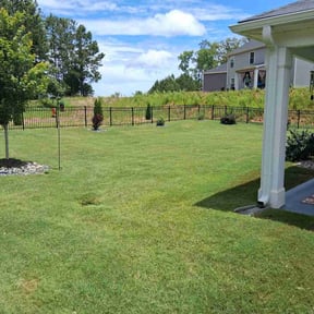 landscaping services by Dream Holloway Lawn Care reviewed on August 18, 2025