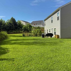 residential landscaping by Revamp reviewed on August 18, 2025