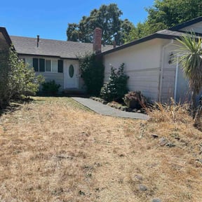 Bush Trimming by Scotty's Services reviewed on August 19, 2025