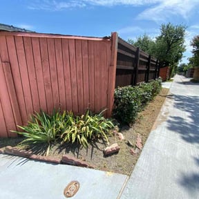 Bush Trimming by Superior Landscape & Maintenance, Inc. reviewed on August 21, 2025