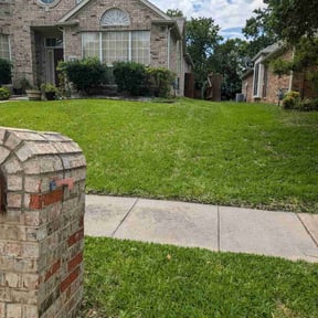 residential landscaping by Loza Green & Handy reviewed on August 15, 2025