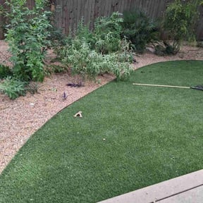 Leaf Removal by Our Vision Media LLC reviewed on July 7, 2026
