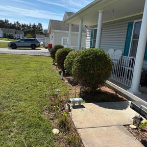 Bush Trimming by Mow &amp; Go reviewed on November 20, 2025