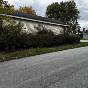 Bush Trimming by Frazier Lawn Care reviewed on October 18, 2025