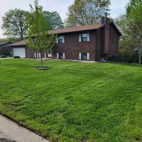 residential landscaping by Busy Bee&#039;s Lawn Care LLC reviewed on August 18, 2025