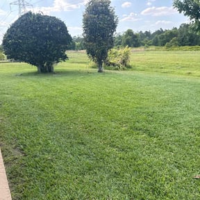 landscaping services by FLA Mowers LLC reviewed on August 17, 2025