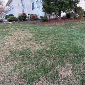 Leaf Removal by Benito Lawn Mowing Services reviewed on November 28, 2025