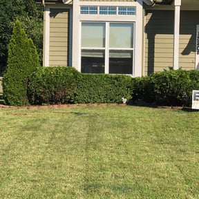 Bush Trimming by Tropilawn Landscaping reviewed on August 16, 2025
