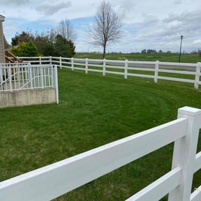 turf care by Neel &amp; Sons Lawncare reviewed on June 12, 2025