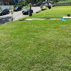 Bush Trimming by Crowell Property Improvement reviewed on August 20, 2025