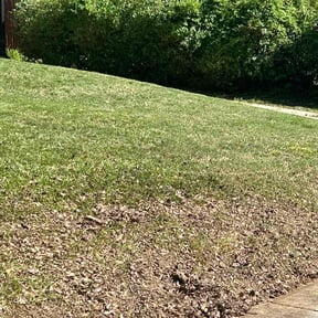 Bush Trimming by Allen Lawn Care reviewed on August 18, 2025