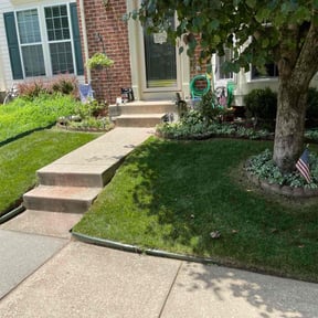 landscaping services by Thomas Fador reviewed on August 15, 2025