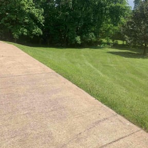 turf maintenance by Allen's Lawn Care reviewed on May 20, 2024