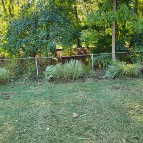 Bush Trimming by J.taylorgrading LLC reviewed on June 4, 2024