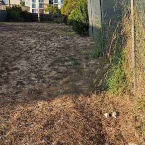 Bush Trimming by Keep it Loe Lawn Service reviewed on November 18, 2023