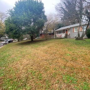 Leaf Removal by Young&#039;s Lawn Care Services reviewed on September 29, 2025