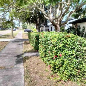 Bush Trimming by Shawnβs mowing reviewed on August 16, 2025