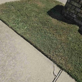 turf care by JD's lawn care services reviewed on July 27, 2023