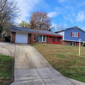 Leaf Removal by Velozlawnandlandscape reviewed on September 21, 2025