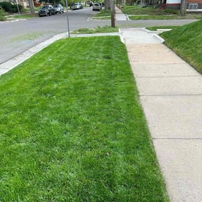 yard maintenance by Mowin' & Goin' reviewed on August 19, 2025