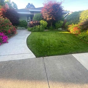yard care by Brooks lawn care reviewed on August 20, 2025
