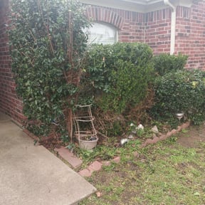 Bush Trimming by Macs LawnCare reviewed on August 15, 2025