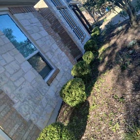 Bush Trimming by curb appeal lawn services reviewed on January 21, 2026