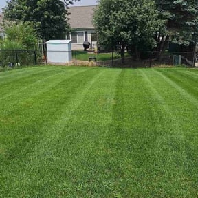 landscaping services by Magnum Landscaping llc reviewed on August 18, 2025