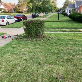 Bush Trimming by Tru reviewed on August 15, 2025