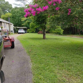 lawn care services by Bella Vista Landscape Services reviewed on February 22, 2024