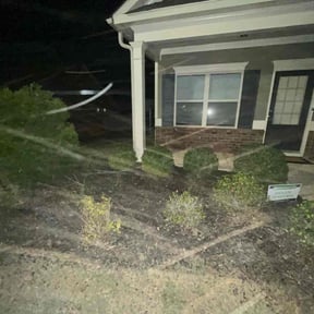 Bush Trimming by Lawn Care Professionals reviewed on August 20, 2025