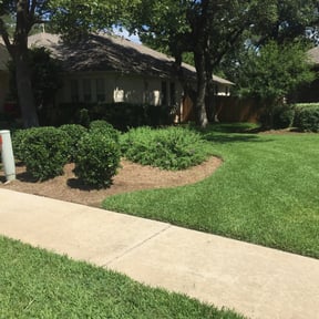 Bush Trimming by McKenzie Landscaping reviewed on August 15, 2025