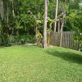 landscaping by MR. M Home Services LLC reviewed on August 15, 2025