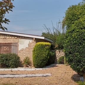 Bush Trimming by Rafaelromerolandscaping reviewed on August 18, 2025