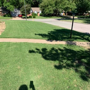 gardening service by Clearly Blue Cleaning LLC reviewed on August 15, 2025