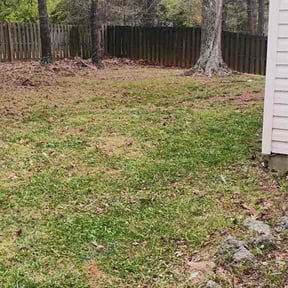 Leaf Removal by Front 9 Lawn Services reviewed on May 22, 2026