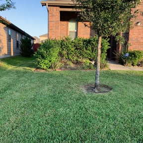 lawn service by F&M LAWNCARE reviewed on May 10, 2024