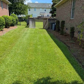 yard service by TNA Home Services reviewed on August 21, 2025