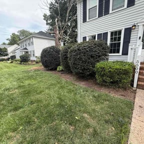 Bush Trimming by Elysium lawn&amp;Garden reviewed on October 24, 2025