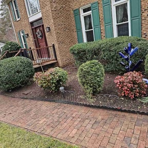 Bush Trimming by Philly Lawn Care reviewed on August 16, 2025