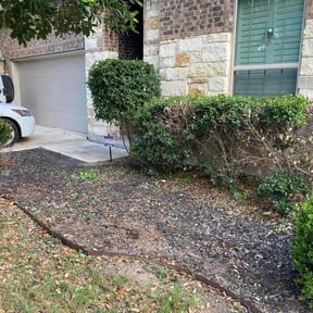 Bush Trimming by Lawn Care Completed reviewed on August 15, 2025