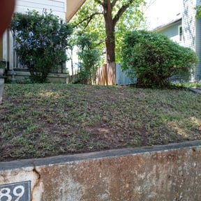 Leaf Removal by JR Lawn Maintenance reviewed on August 15, 2025