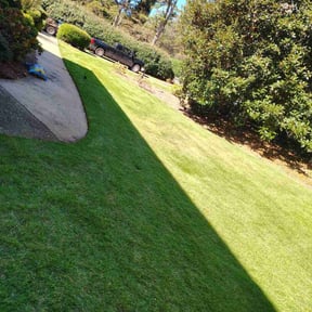 gardening service by Riverside reviewed on November 22, 2025