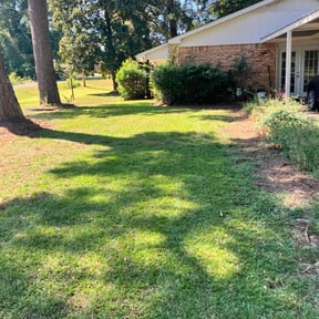 lawn maintenance by Evans Lawn Care LLc reviewed on July 10, 2025