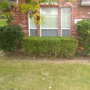 Bush Trimming by Fisher's Lawn & Walls reviewed on August 17, 2025